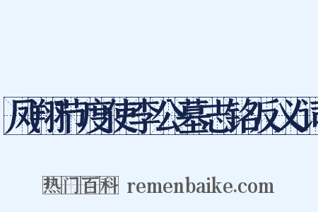 凤翔节度使李公墓志铭反义词是什么意思的图片